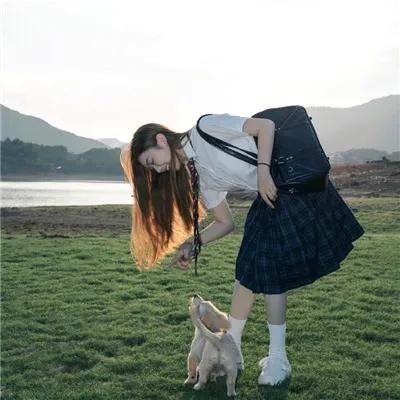 怪化猫
